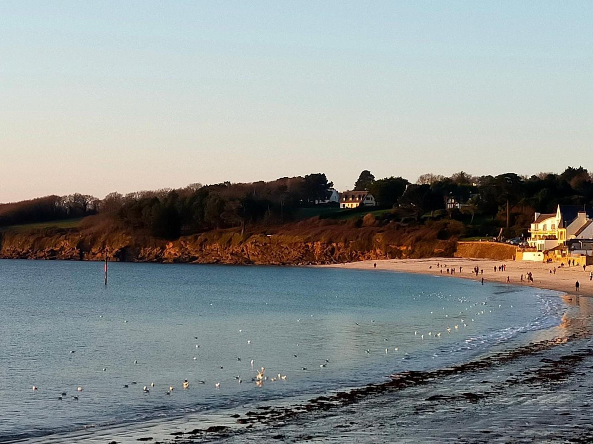 L'Elephant Blanc De Concarnoloc Concarneau Bilik gambar